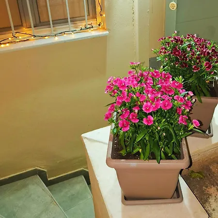 Home, Lovely, Private, Unique, Cozy 7 Minutes From Center, Super Fast Internet * Athens